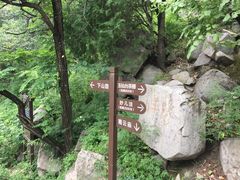 -阳台山自然风景区