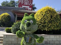 -阳台山自然风景区