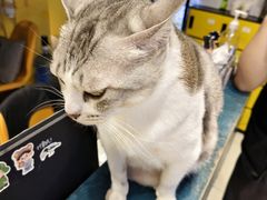 -谜盒子奇幻密室(南屏店)