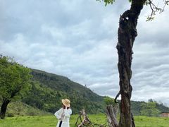 -硗碛藏寨·神木垒景区