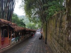 景观位-蔺大妈松花糕