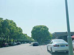 -逝水玩具折扣店