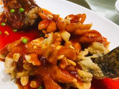 松鼠桂鱼-顺风海鲜港(长寿路店)