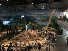 -自贡恐龙博物馆