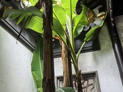 -卫道观前潘宅