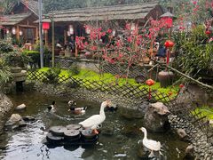 -青城甲(青城山店)