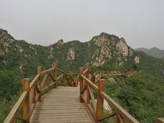 -大岭沟猕猴桃谷风景区