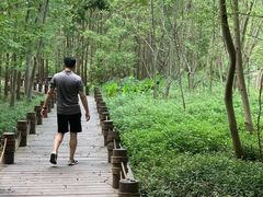 -桤木河湿地公园