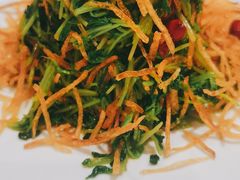 巧拌豆苗-四季民福烤鸭店(王府井灯市口店)