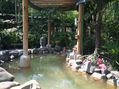 -张家港金凤凰度假村温泉