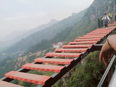 -梦幻奥陶纪景区