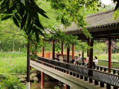 -重庆彩云湖湿地公园