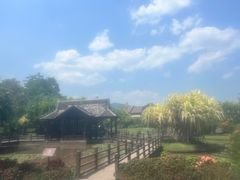 -中国科学院西双版纳热带植物园