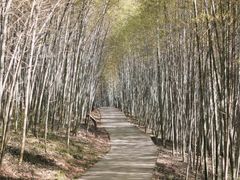 -游子山休闲旅游区