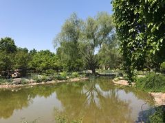 -石家庄市植物园