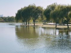 -东华大学(松江校区)