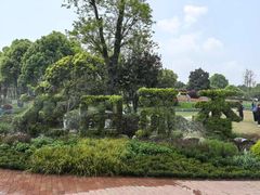 -铁山坪森林公园