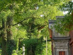 -上坦村