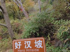 -雾灵西峰
