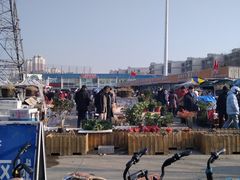 -中环花鸟鱼虫市场
