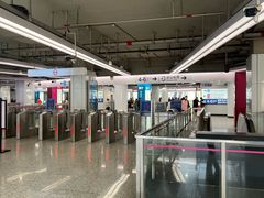 -东方体育中心(地铁站)