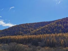 -塞罕坝国家级自然保护区