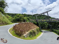 -阳台山森林公园