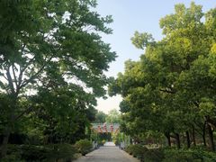 -上海滨江森林公园