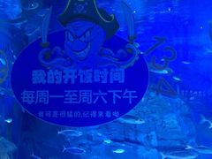 -烟台海昌鲸鲨海洋公园