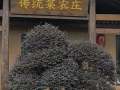 -传统菜农庄(皇姑路店)