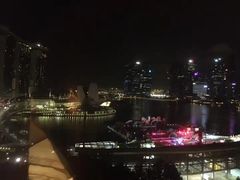 -新加坡丽思卡尔顿美年酒店