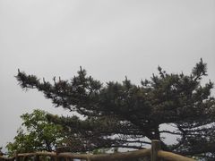-罗田薄刀峰风景区