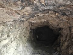 -上海佘山国家森林公园天马山园