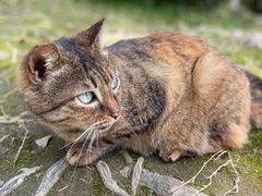 -苏州河梦清园环保主题公园