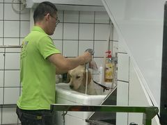 -唐小姐の猫狗洗护·购宠旗舰店(周浦万达店)