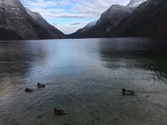 -柯尼希湖