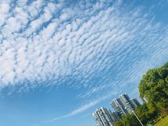 -白塘生态植物园