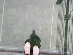 -川西竹海景区