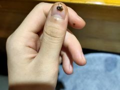 -袍哥码头老火锅(横岗分店)