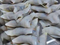 -桂林市象山区铁西幼儿园(铁西一巷店)