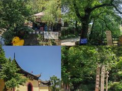 -严子陵钓台(富春江小三峡)