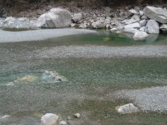 -黑河国家森林公园