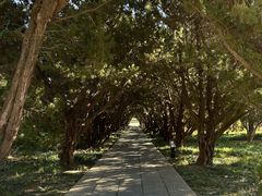 -洛阳古墓博物馆