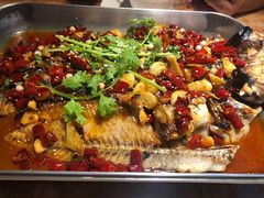 -丹尼斯7天地