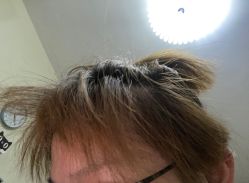 -D.z Salon 无痕接发潮店