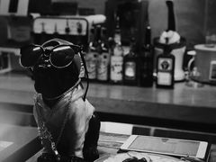 -BE NORMAL CAFE(霞溪路店)