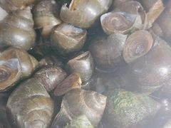 -畲乡一品鱼府土菜馆