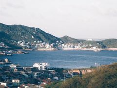 -枸杞岛