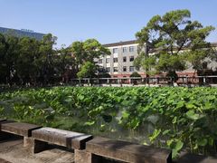 -四川大学(望江校区)