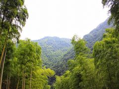 -众神白水涧景区